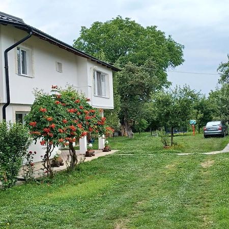 Casa Pandrea Guest House Cîrţişoara Bagian luar foto