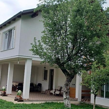 Casa Pandrea Guest House Cîrţişoara Bagian luar foto