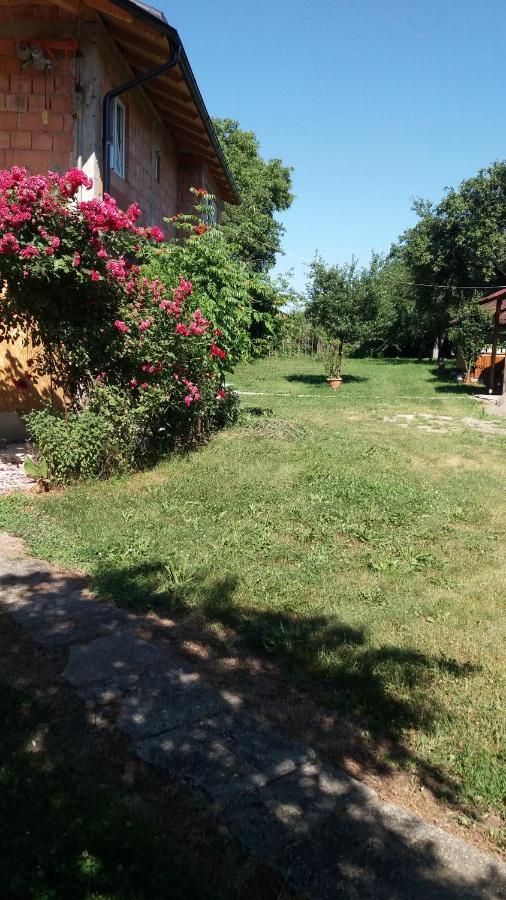 Casa Pandrea Guest House Cîrţişoara Bagian luar foto