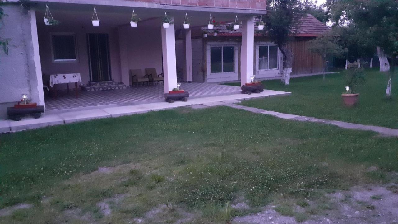 Casa Pandrea Guest House Cîrţişoara Bagian luar foto