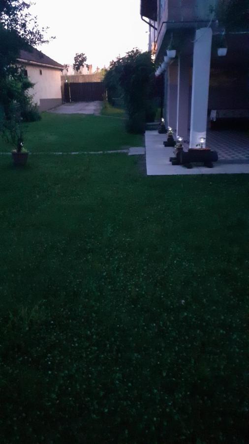 Casa Pandrea Guest House Cîrţişoara Bagian luar foto