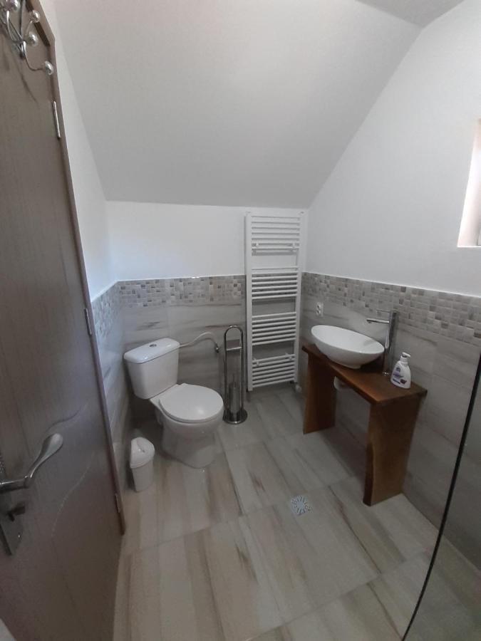 Casa Pandrea Guest House Cîrţişoara Bagian luar foto