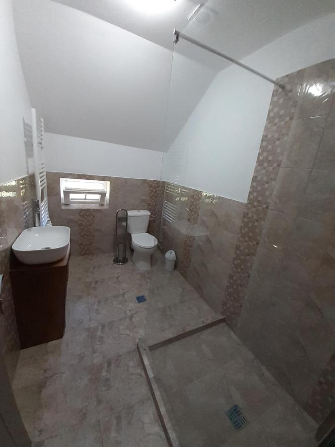 Casa Pandrea Guest House Cîrţişoara Bagian luar foto