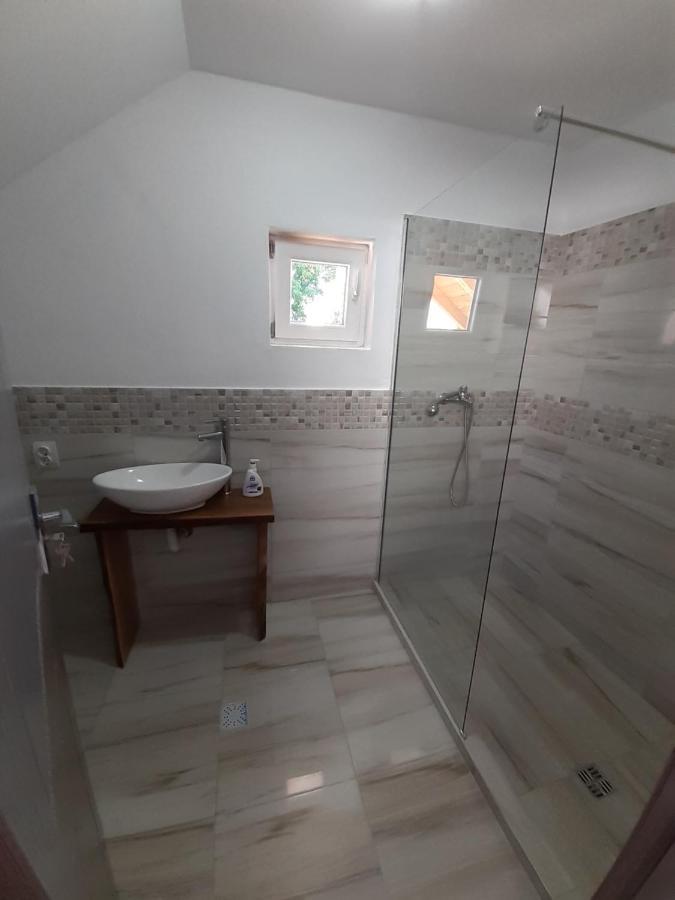 Casa Pandrea Guest House Cîrţişoara Bagian luar foto