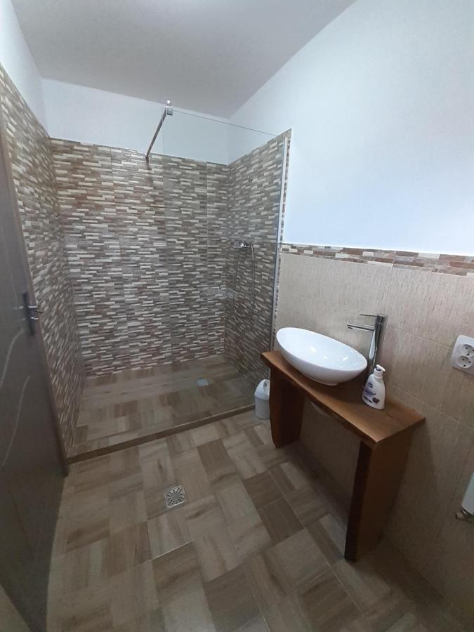 Casa Pandrea Guest House Cîrţişoara Bagian luar foto