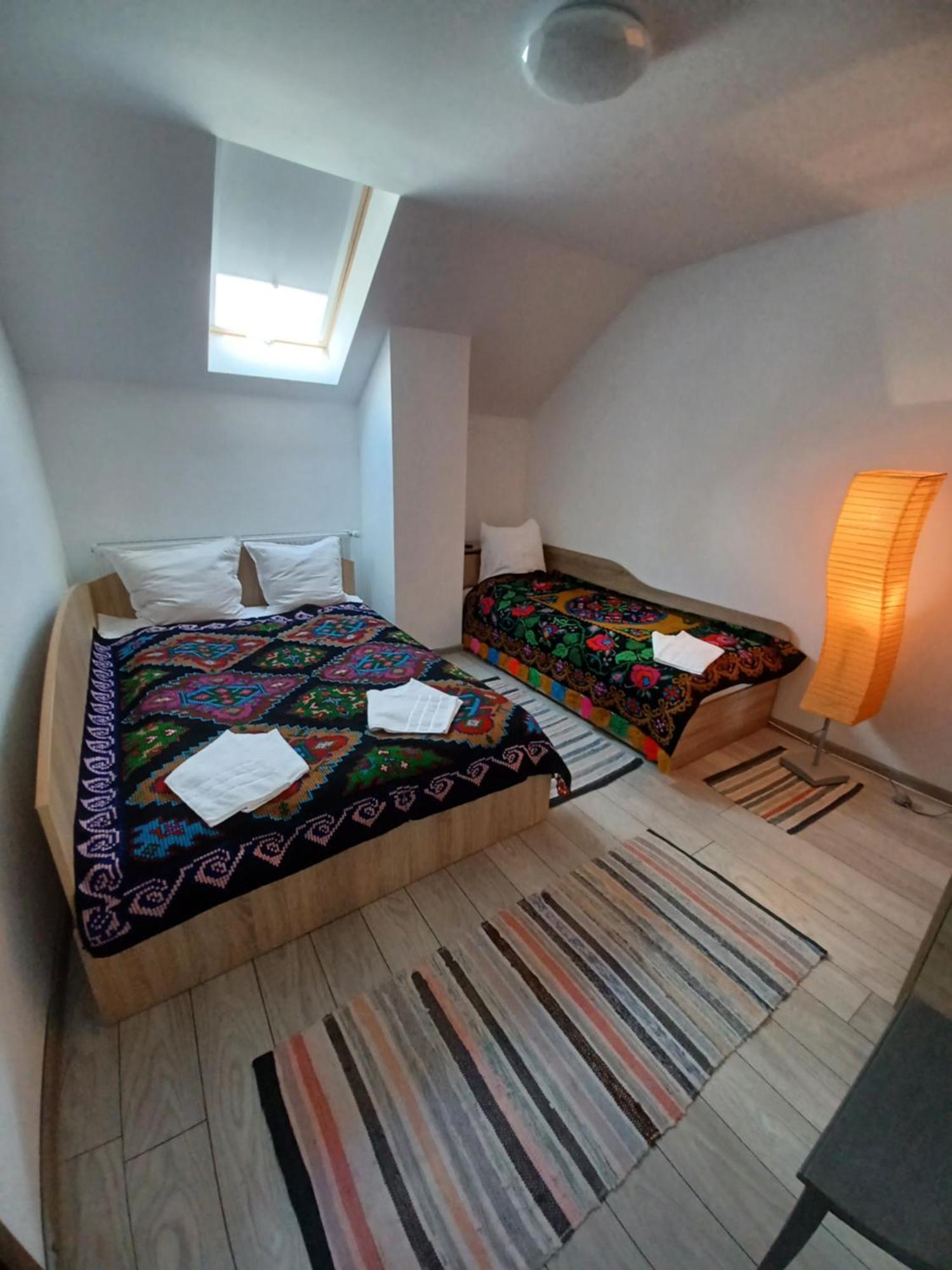 Casa Pandrea Guest House Cîrţişoara Bagian luar foto
