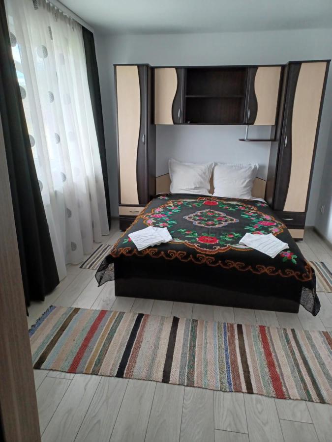 Casa Pandrea Guest House Cîrţişoara Bagian luar foto