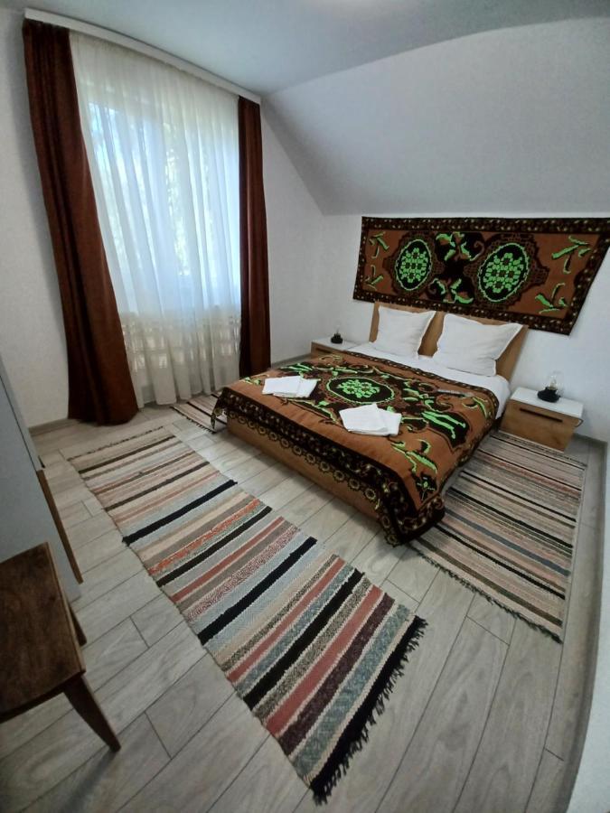 Casa Pandrea Guest House Cîrţişoara Bagian luar foto
