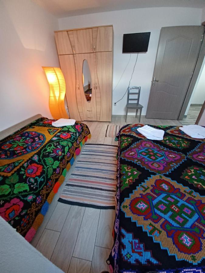 Casa Pandrea Guest House Cîrţişoara Bagian luar foto