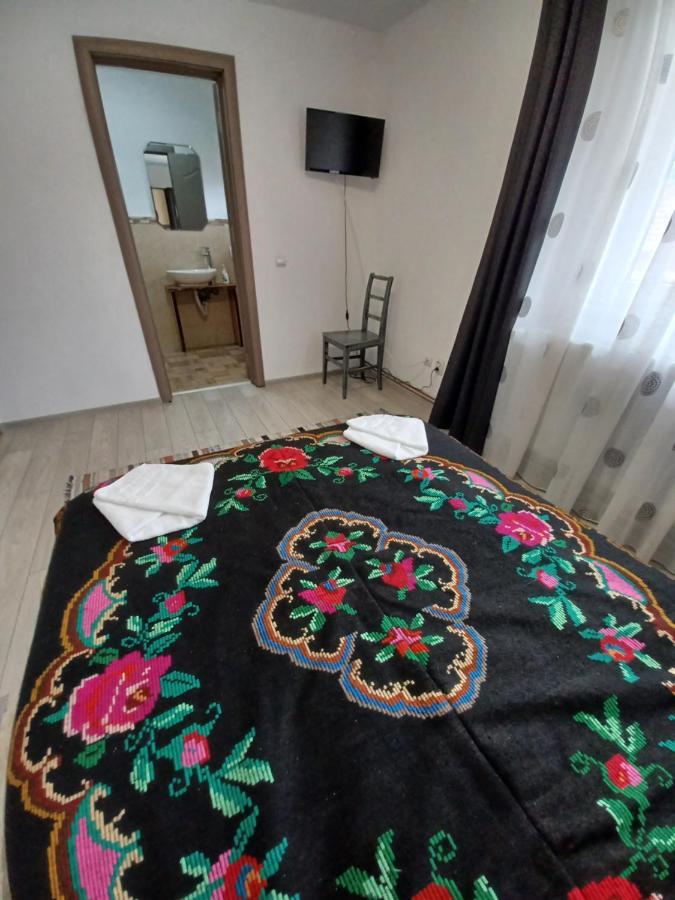 Casa Pandrea Guest House Cîrţişoara Bagian luar foto