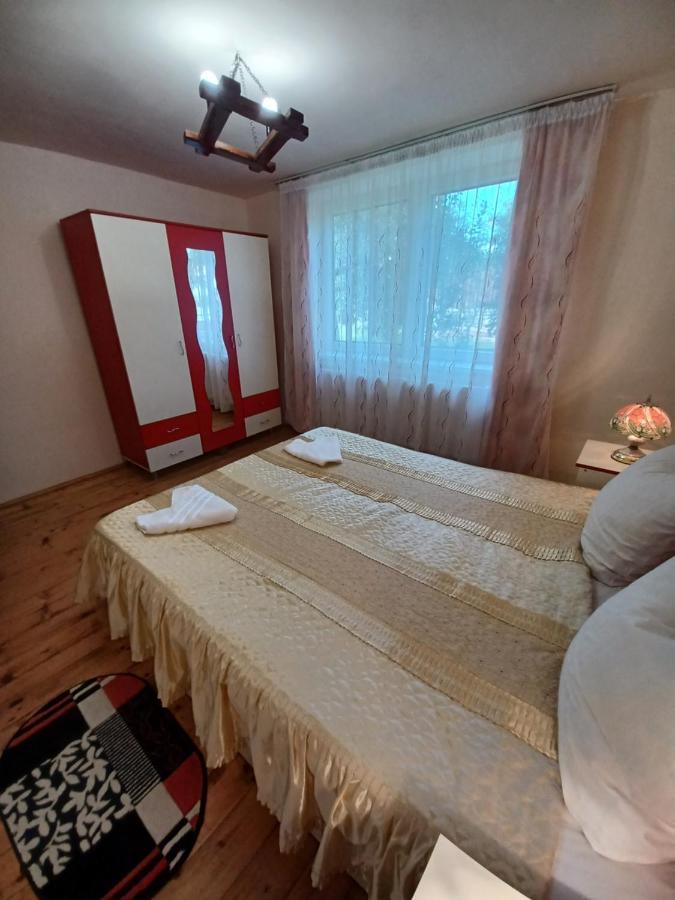 Casa Pandrea Guest House Cîrţişoara Bagian luar foto