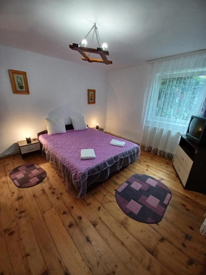 Casa Pandrea Guest House Cîrţişoara Bagian luar foto