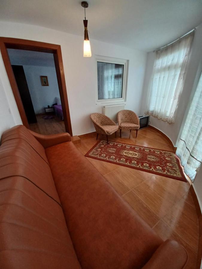 Casa Pandrea Guest House Cîrţişoara Bagian luar foto