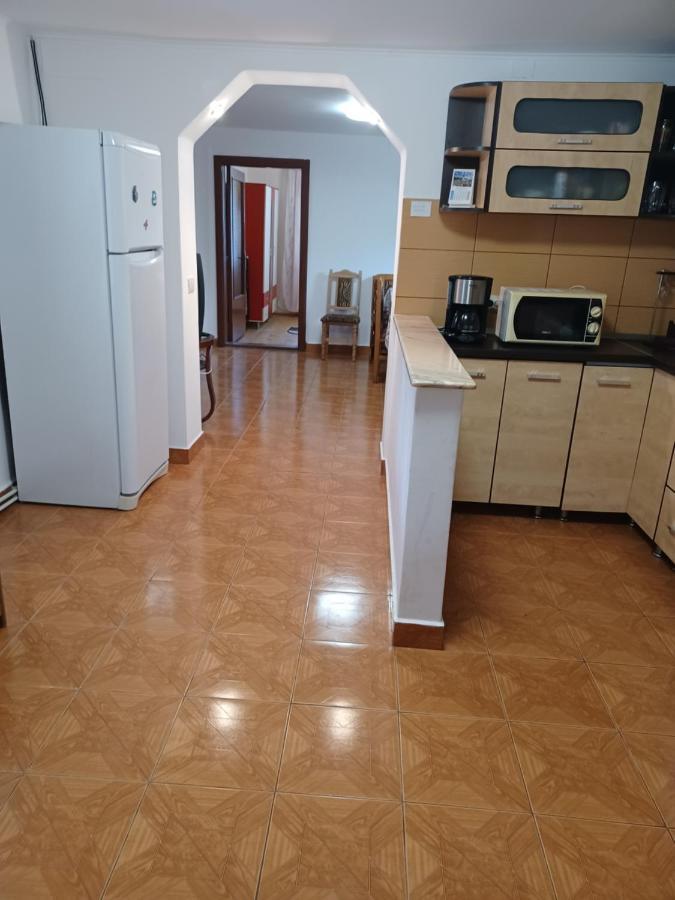 Casa Pandrea Guest House Cîrţişoara Bagian luar foto