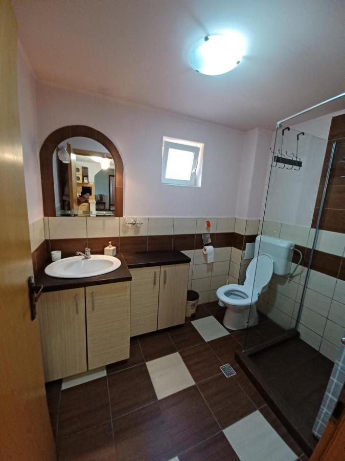 Casa Pandrea Guest House Cîrţişoara Bagian luar foto