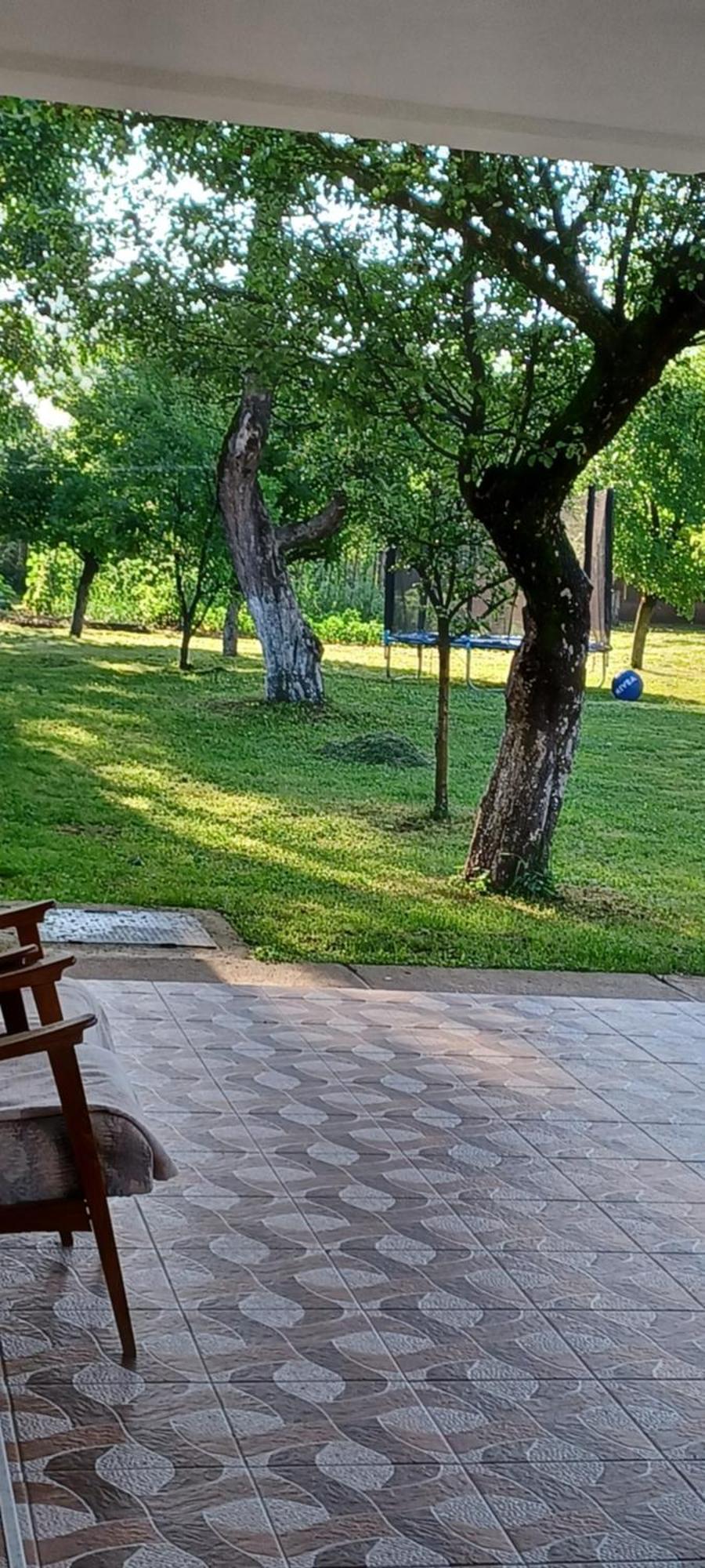 Casa Pandrea Guest House Cîrţişoara Bagian luar foto