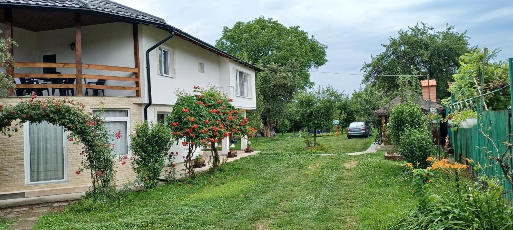 Casa Pandrea Guest House Cîrţişoara Bagian luar foto