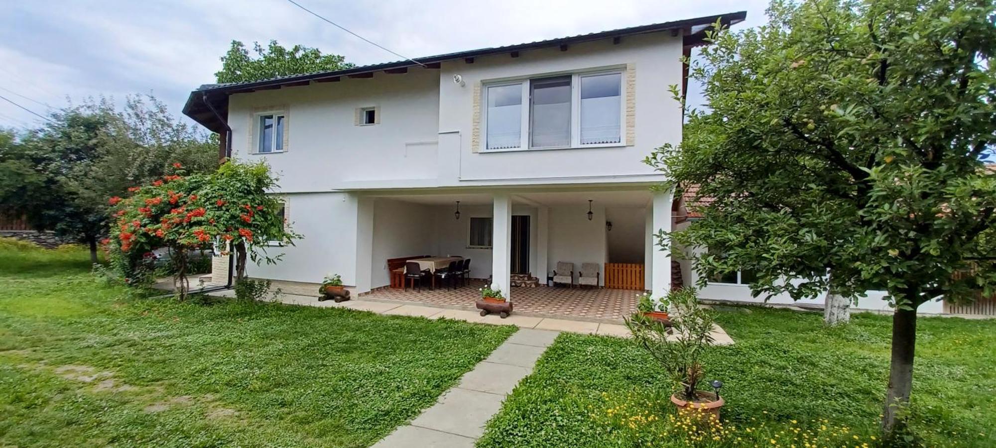 Casa Pandrea Guest House Cîrţişoara Bagian luar foto