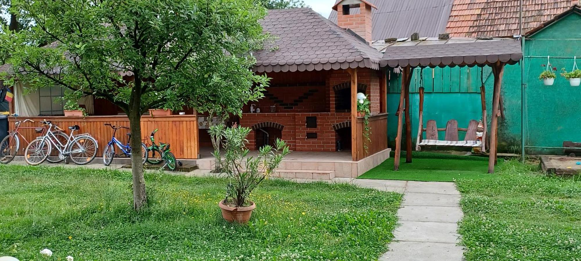 Casa Pandrea Guest House Cîrţişoara Bagian luar foto